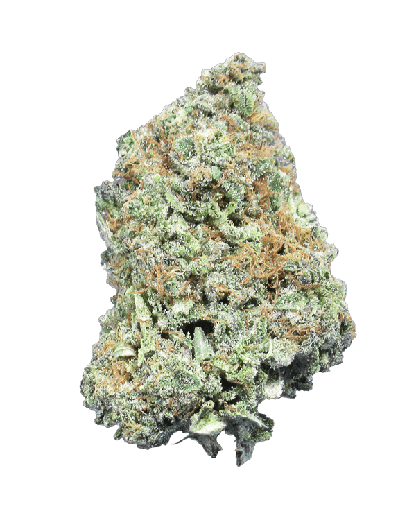 Indica