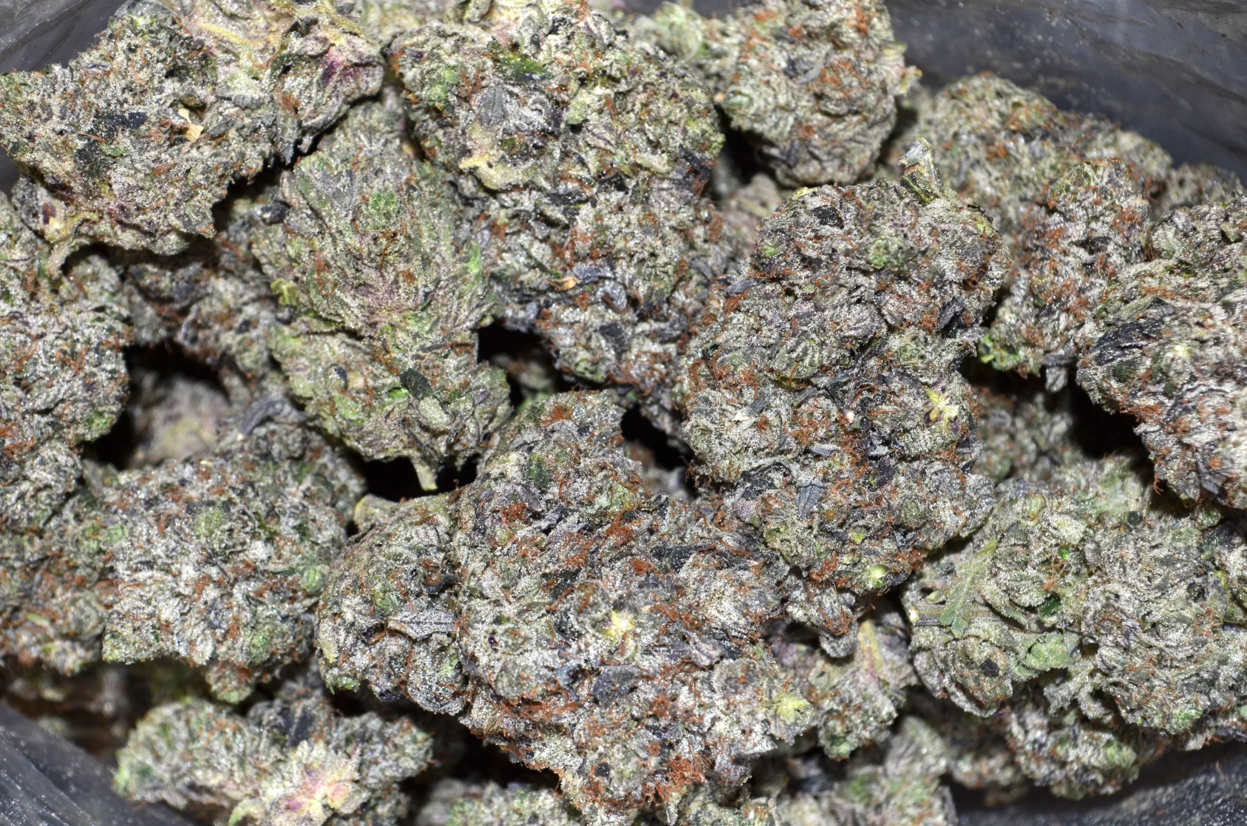 Pink Gushers PINK GUSHERS AAAA+ - Bud Delivery | Weed Delivery Langley and Surrey