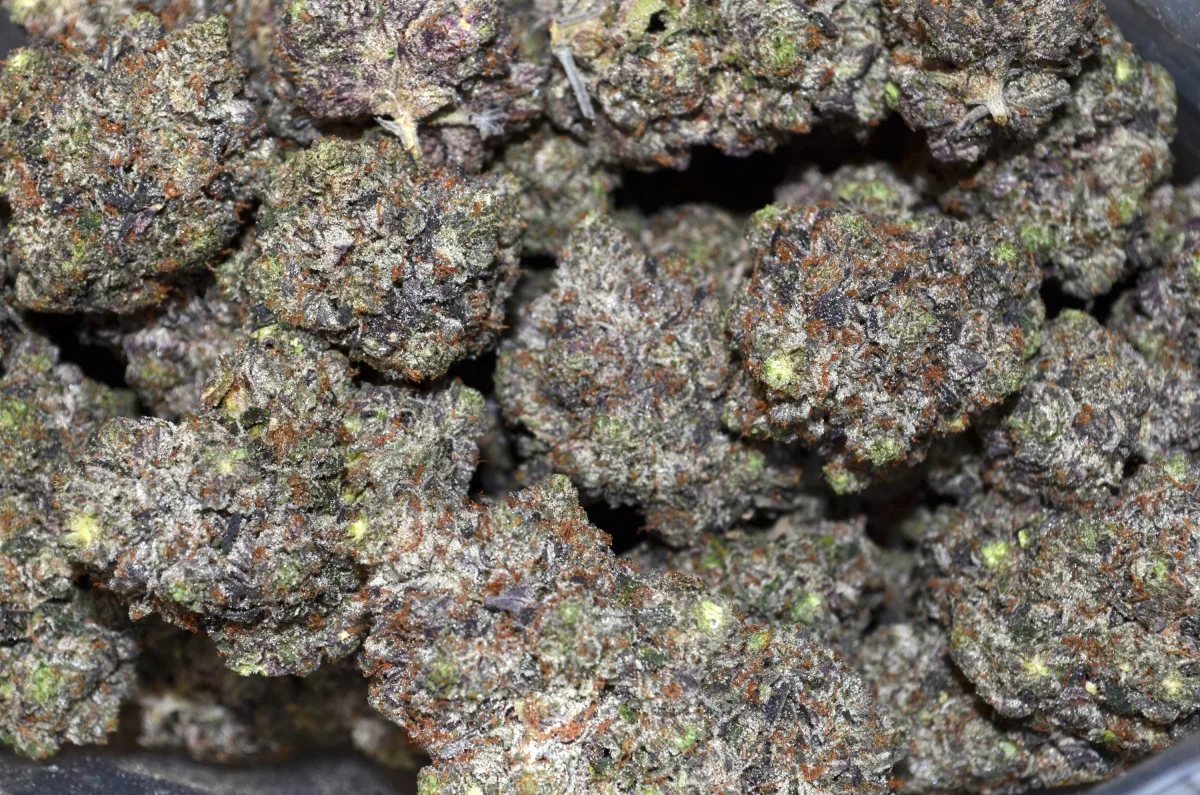 Pink Gushers PINK GUSHERS AAAA+ - Bud Delivery | Weed Delivery Langley and Surrey