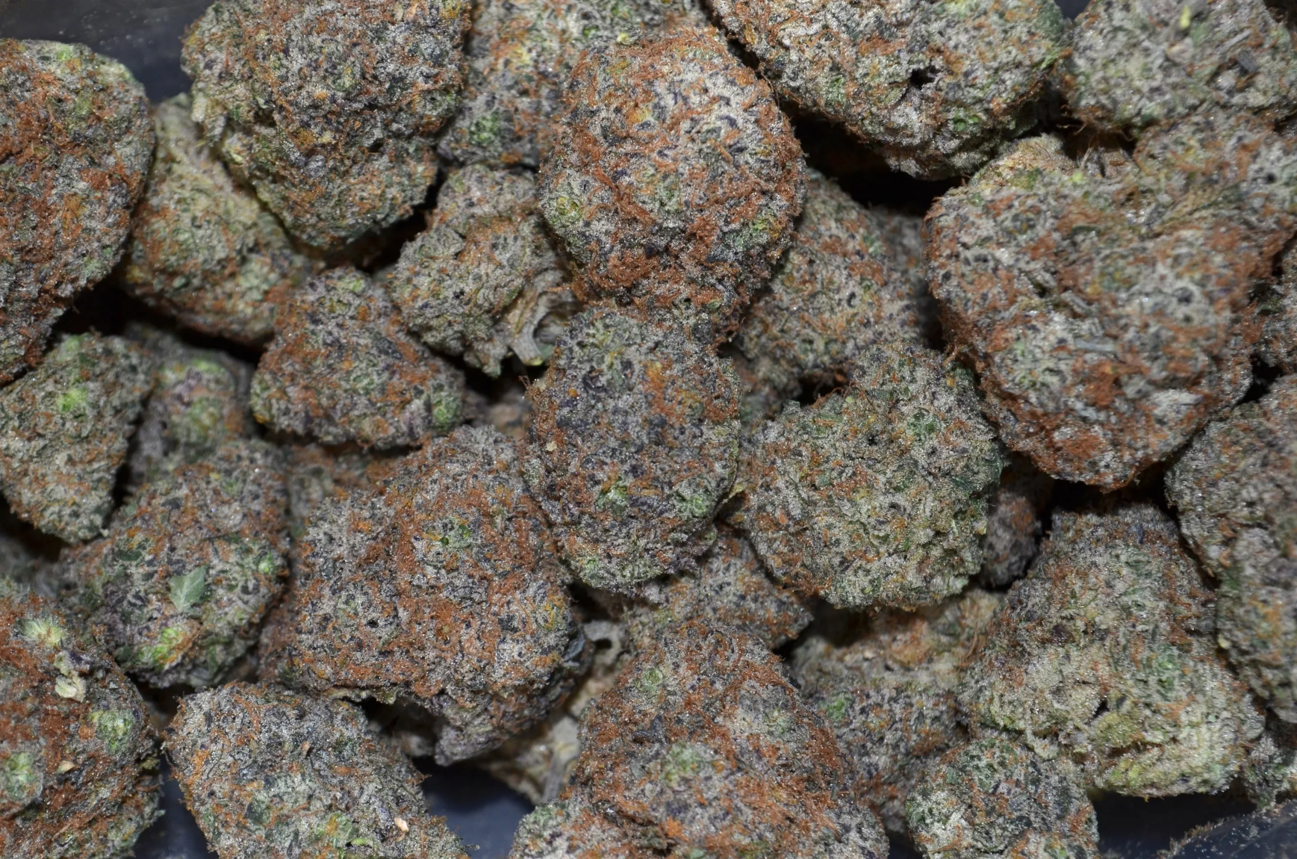 2023/05/oreocookie-scaled.webp