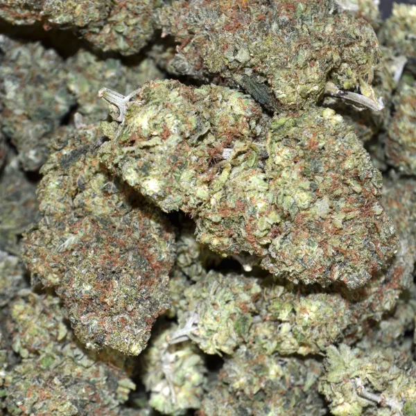 ICE AGE AAA $100/Oz OR $180/2ozs