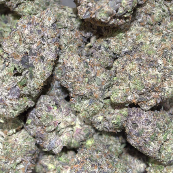 MK-ULTRA AAAA+