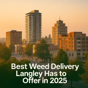 Panoramic cityscape of Langley, British Columbia on a clear day.