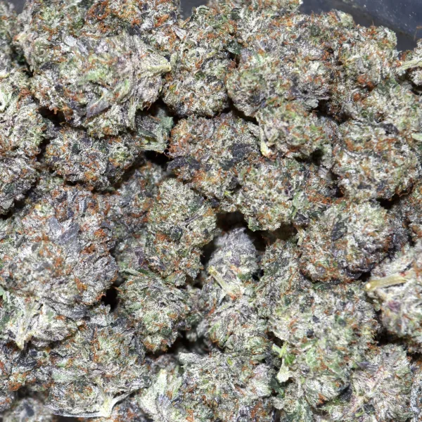 PINK ROCK AAAA+