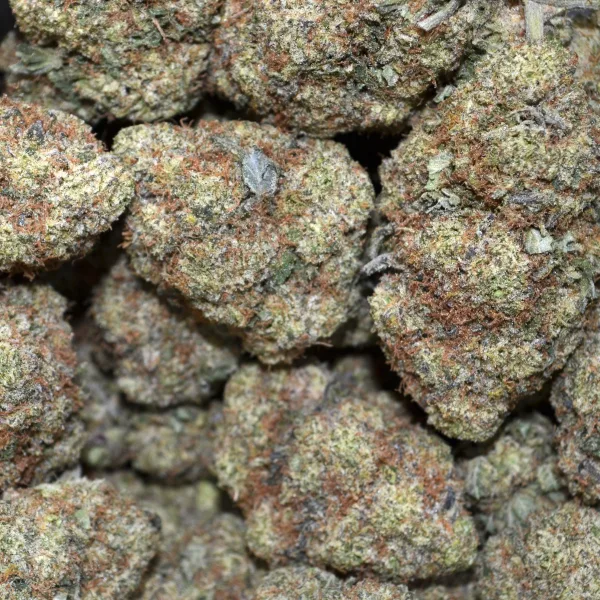 PINK BERRIES AAA+