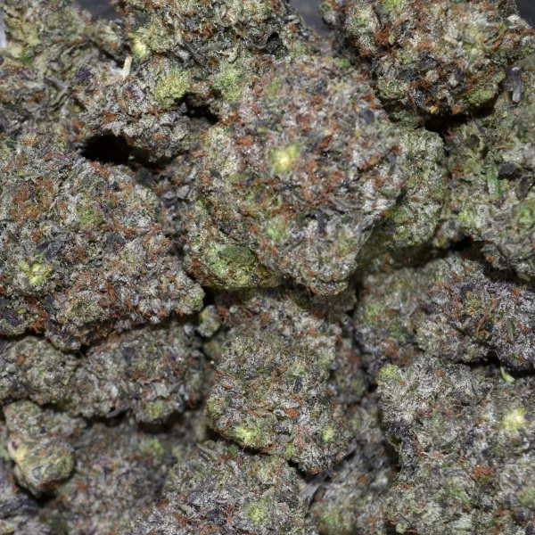 Pink Tuna AAAA+