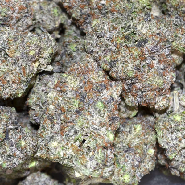 ALIEN BUBBA AAAA+