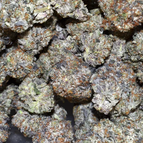 VANCITY PINK AAAA+