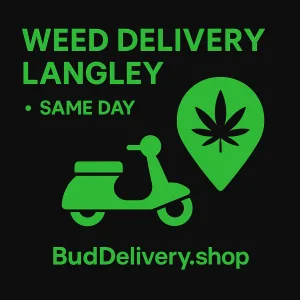 BudDelivery.shop — Weed Delivery Langley same-day cannabis delivery graphic