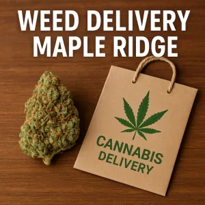 Weed Delivery Maple Ridge — discreet same-day cannabis delivery box, car key, and fresh flower
