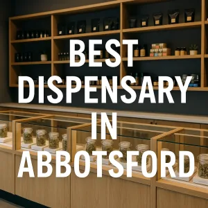 Modern cannabis dispensary in Abbotsford with glass display cases and jars of flower