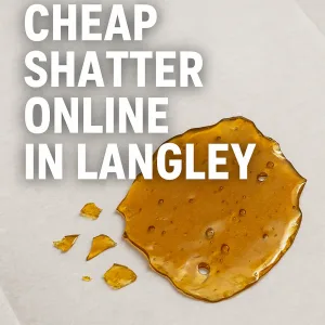 Cheap shatter online in Langley – translucent amber shatter slab on parchment paper.