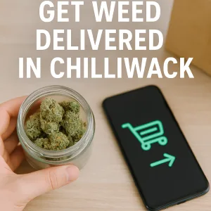 Get weed delivered in Chilliwack – hand holding a jar of cannabis beside a phone with checkout icon