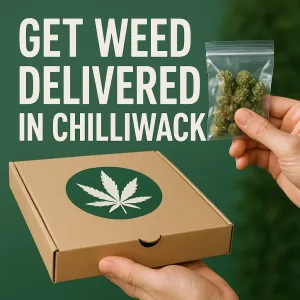 Get weed delivered in Chilliwack – sealed delivery box with cannabis leaf and small bag of buds
