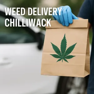 Chilliwack weed delivery driver handing off discreet paper bag near vehicle
