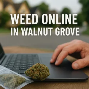 Weed online in Walnut Grove – hand on laptop with cannabis buds beside the keyboard