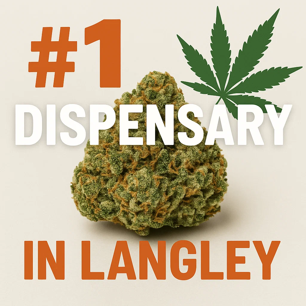 High-quality cannabis flower with marijuana leaf icon and text reading “#1 Dispensary in Langley.”