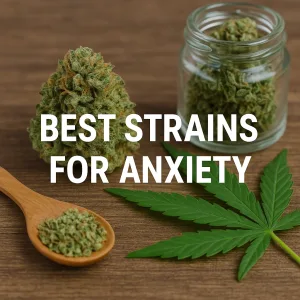 Close-up of cannabis bud, leaf, and jar with text overlay “Best Strains for Anxiety”