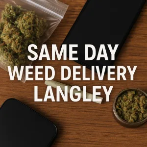 Same day weed delivery Langley order with phone, jar of cannabis, pre-roll, and sealed flower on a table.