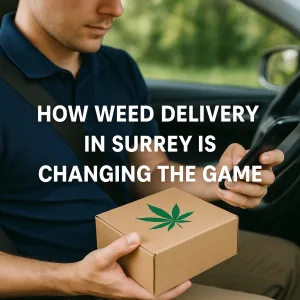 Man sitting in a car holding a weed delivery package while checking his phone.