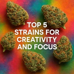 Cannabis buds arranged on a vibrant rainbow surface promoting top strains for creativity and focus.