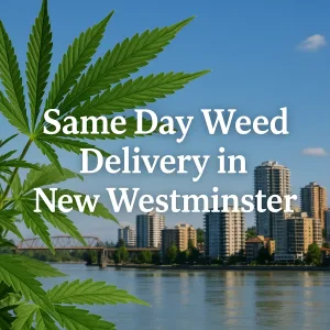 Cannabis leaf framing the New Westminster skyline with text reading “Same Day Weed Delivery in New Westminster.”