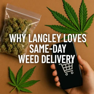 Bag of cannabis and smartphone showing shopping cart icon for same-day weed delivery in Langley