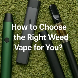 Close-up of sleek cannabis vape pens and cartridges on a green background with the title “How to Choose the Right Weed Vape for You.”
