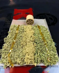 Rolling paper filled with ground flower and center line of kief, with thin rails of shatter on each side ready to be rolled.