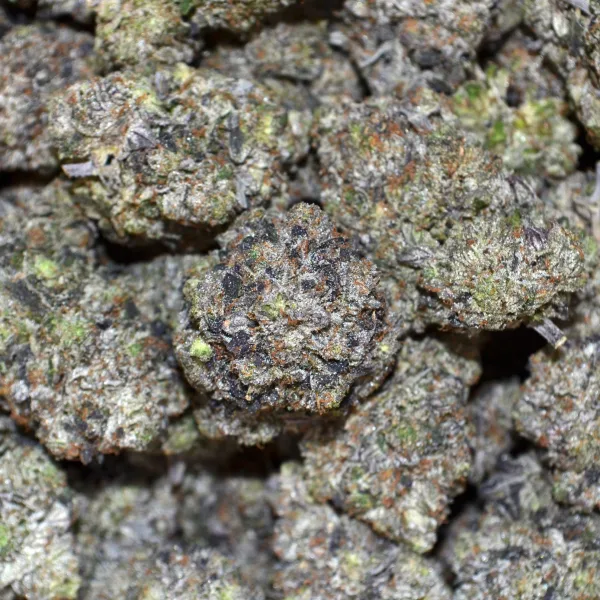 Blue Diesel AAAA+