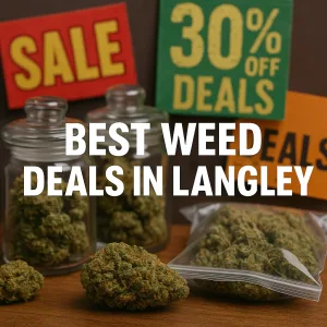 Cannabis buds in jars and bags beside sale signs showing 30% off deals in Langley.