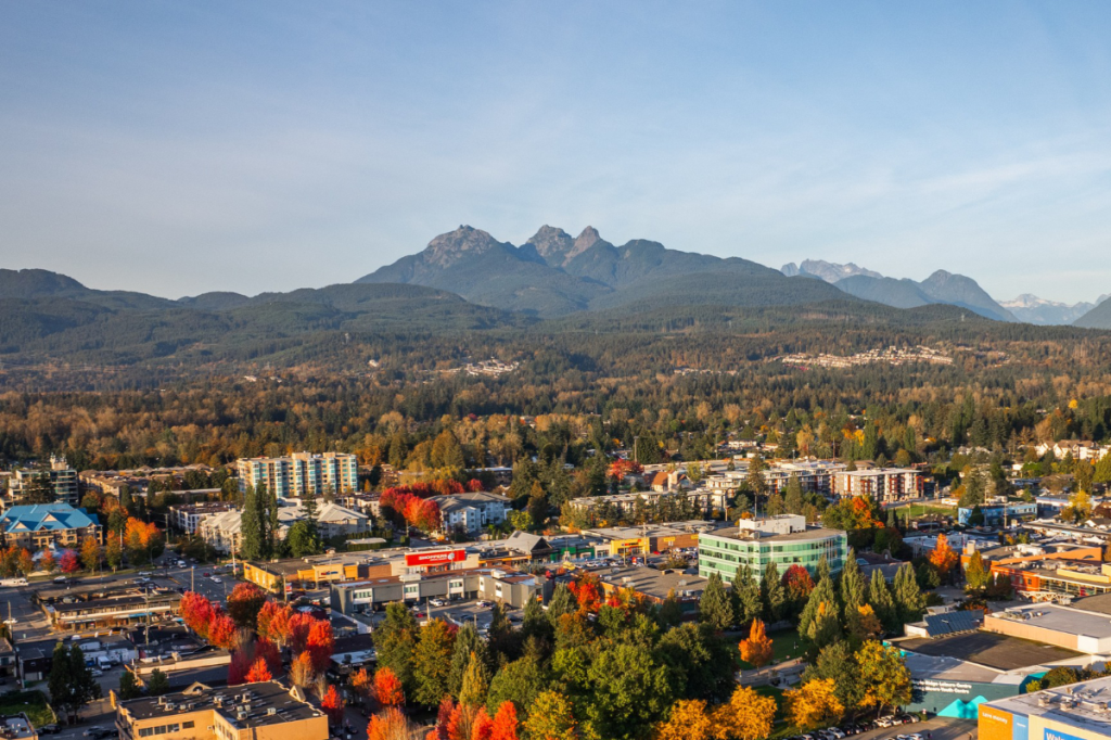 Aerial view of Maple Ridge, BC with fall trees, mid-rise buildings, and the Golden Ears mountains in the background.