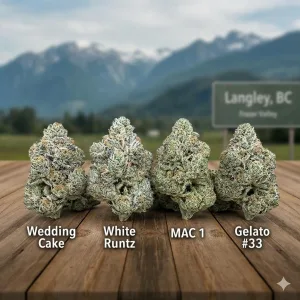 Four premium hybrid cannabis buds labeled Wedding Cake, White Runtz, MAC 1, and Gelato #33 sitting on a wooden table with a Langley BC highway sign and mountains in the background.