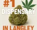 High-quality cannabis flower with marijuana leaf icon and text reading “#1 Dispensary in Langley.”