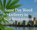 Cannabis leaf framing the New Westminster skyline with text reading “Same Day Weed Delivery in New Westminster.”